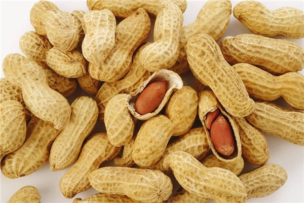 花生能治胃病嗎 花生養(yǎng)胃還是傷胃 花生能治胃病嗎 花生養(yǎng)胃還是傷胃