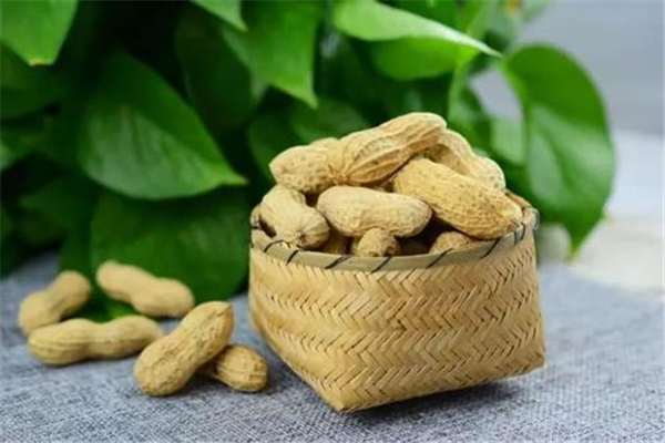 花生生吃好還是熟吃好 花生生吃的功效和作用 花生生吃好還是熟吃好 花生生吃的功效和作用