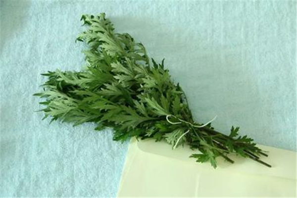 艾葉能驅(qū)蚊子嗎 艾葉驅(qū)蚊子用干的還是新鮮艾葉 艾葉能驅(qū)蚊子嗎 艾葉驅(qū)蚊子用干的還是新鮮艾葉