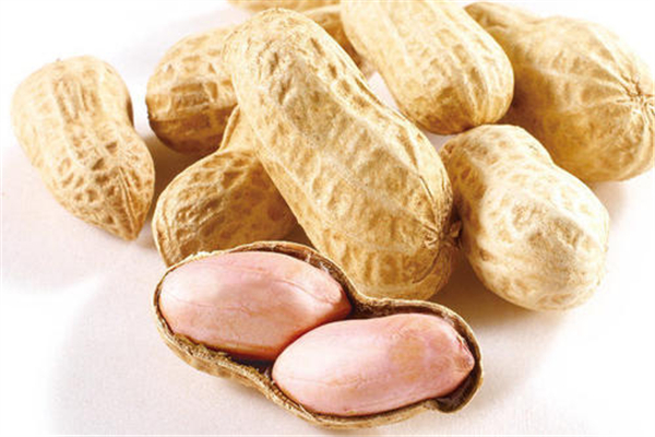 花生生吃好還是熟吃好 花生生吃的功效和作用 花生生吃好還是熟吃好 花生生吃的功效和作用