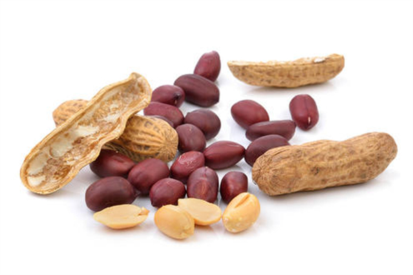 花生可以下奶嗎 花生怎么做下奶快 花生可以下奶嗎 花生怎么做下奶快