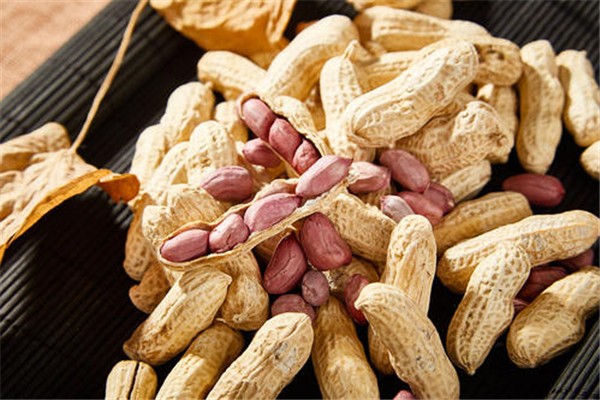 花生能治胃病嗎 花生養(yǎng)胃還是傷胃 花生能治胃病嗎 花生養(yǎng)胃還是傷胃