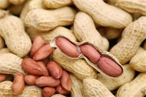 花生能治胃病嗎 花生養(yǎng)胃還是傷胃 花生能治胃病嗎 花生養(yǎng)胃還是傷胃
