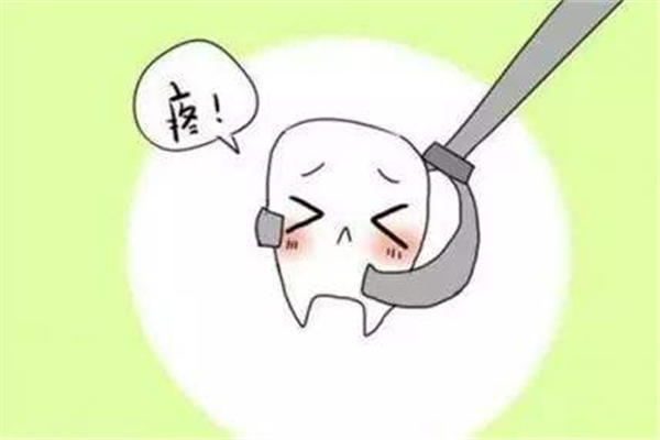 智齒什么年齡段會長 智齒是一下子長出來的嗎 智齒什么年齡段會長 智齒是一下子長出來的嗎