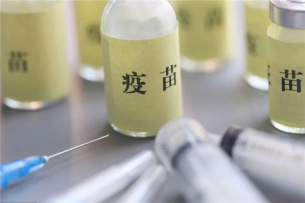 新冠疫苗第二針預(yù)約單丟了怎么辦 新冠疫苗第二針沒打可以重新打第一針嗎 新冠疫苗第二針預(yù)約單丟了怎么辦 新冠疫苗第二針沒打可以重新打第一針嗎