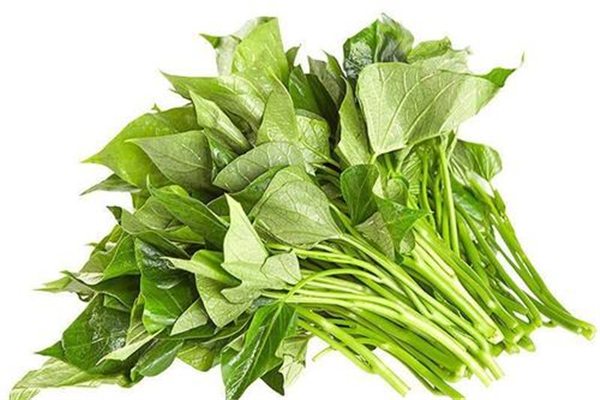 紅薯葉糖尿病人可以吃嗎 紅薯葉什么人不宜吃 紅薯葉糖尿病人可以吃嗎 紅薯葉什么人不宜吃