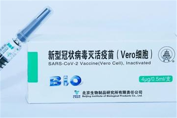 接種新冠疫苗對男性性功能有影響嗎 接種新冠疫苗對懷孕有沒有影響 接種新冠疫苗對男性性功能有影響嗎 接種新冠疫苗對懷孕有沒有影響