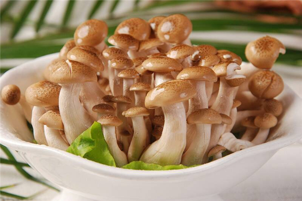 蟹味菇需要焯水嗎 蟹味菇要焯水多久 蟹味菇需要焯水嗎 蟹味菇要焯水多久