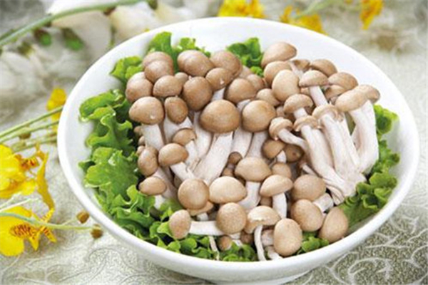 蟹味菇適合減肥嗎 蟹味菇減肥可以吃嗎 蟹味菇適合減肥嗎 蟹味菇減肥可以吃嗎