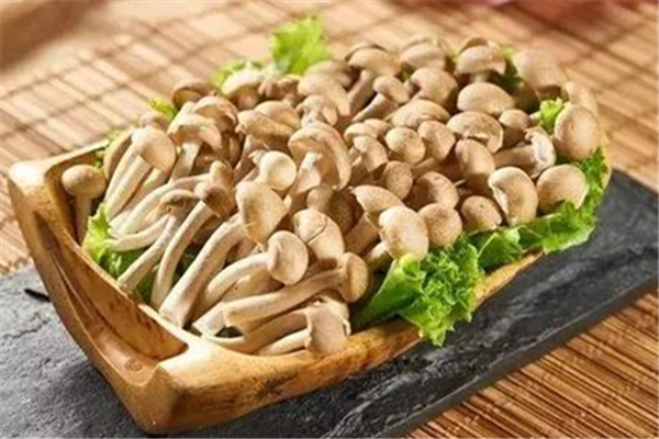 蟹味菇可以和雞蛋一起吃嗎 蟹味菇和什么搭配最好 蟹味菇可以和雞蛋一起吃嗎 蟹味菇和什么搭配最好