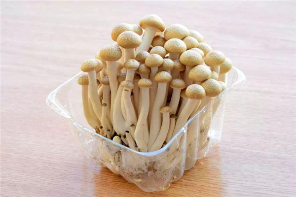 蟹味菇適合減肥嗎 蟹味菇減肥可以吃嗎 蟹味菇適合減肥嗎 蟹味菇減肥可以吃嗎