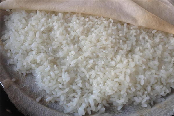 糯米怎么吃好消化 糯米為什么難消化 糯米怎么吃好消化 糯米為什么難消化