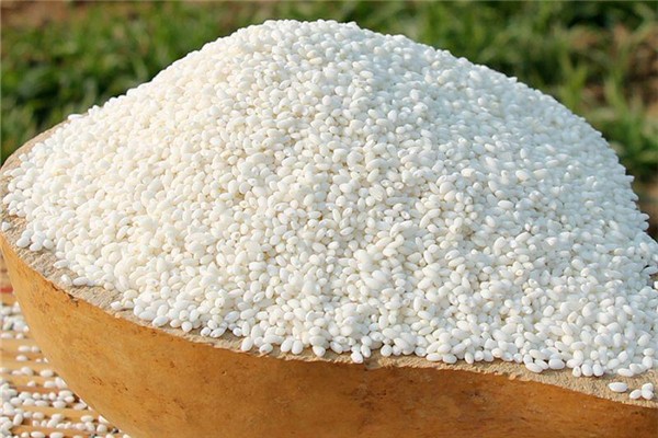 糯米有蟲子還可以吃嗎 糯米生蟲應(yīng)該怎樣處理 糯米有蟲子還可以吃嗎 糯米生蟲應(yīng)該怎樣處理