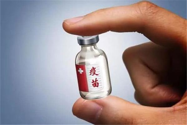 新冠疫苗預約后多久通知接種 新冠疫苗預約之后需要排隊嗎 新冠疫苗預約后多久通知接種 新冠疫苗預約之后需要排隊嗎