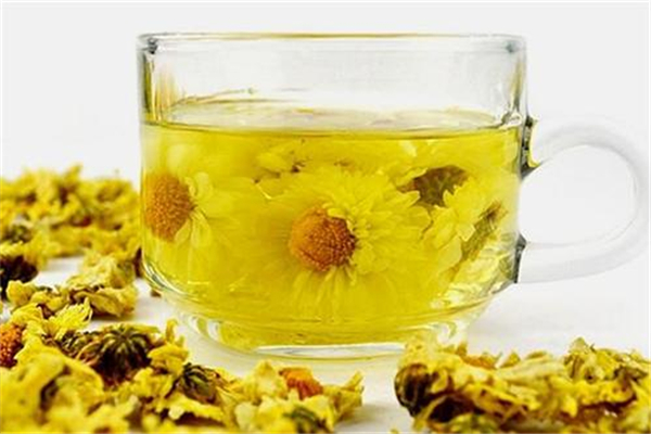 菊花茶那種菊花最好 菊花茶的功效和作用 菊花茶那種菊花最好 菊花茶的功效和作用