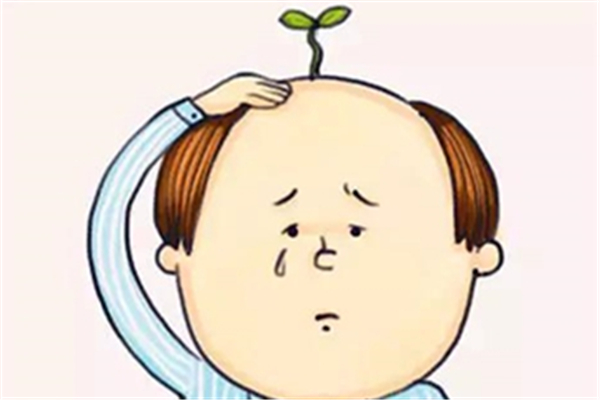 防脫洗發(fā)水真的有用嗎 防脫洗發(fā)水哪個(gè)牌子的效果好 防脫洗發(fā)水真的有用嗎 防脫洗發(fā)水哪個(gè)牌子的效果好