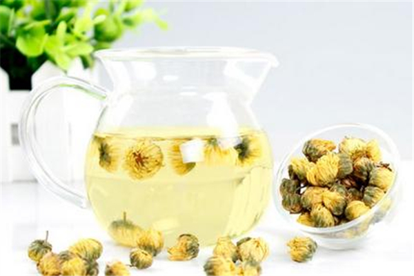 菊花茶胃寒的人可以喝嗎 菊花茶會(huì)刺激胃嗎 菊花茶胃寒的人可以喝嗎 菊花茶會(huì)刺激胃嗎