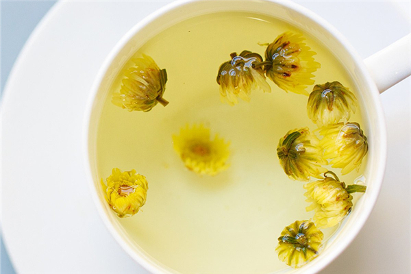 菊花茶適合什么季節(jié)喝 菊花茶可以天天喝嗎 菊花茶適合什么季節(jié)喝 菊花茶可以天天喝嗎