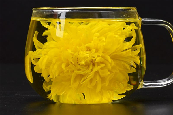 菊花茶那種菊花最好 菊花茶的功效和作用 菊花茶那種菊花最好 菊花茶的功效和作用