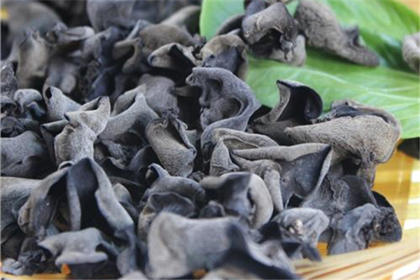 木耳泡好了有點異味還能吃嗎 木耳有刺鼻的氣味是怎么回事 木耳泡好了有點異味還能吃嗎 木耳有刺鼻的氣味是怎么回事