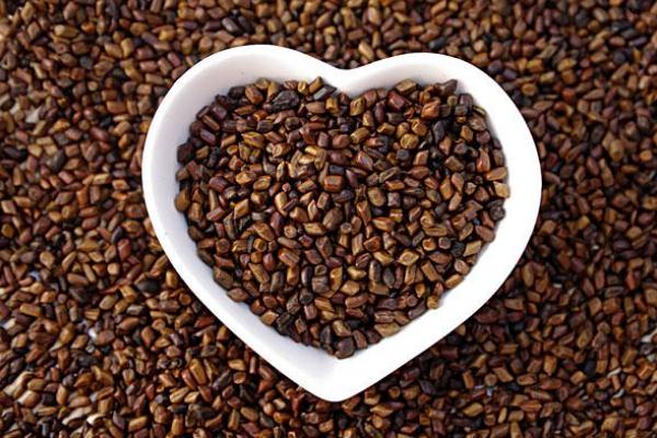 決明子的功效 決明子的副作用 決明子的功效 決明子的副作用