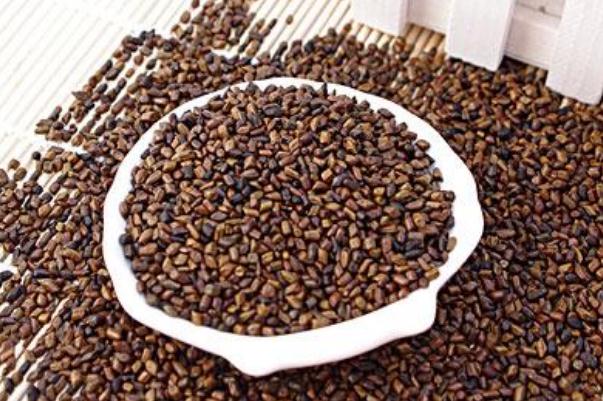 決明子泡水能每天長(zhǎng)期喝嗎 決明子泡水一次放多少 決明子泡水能每天長(zhǎng)期喝嗎 決明子泡水一次放多少