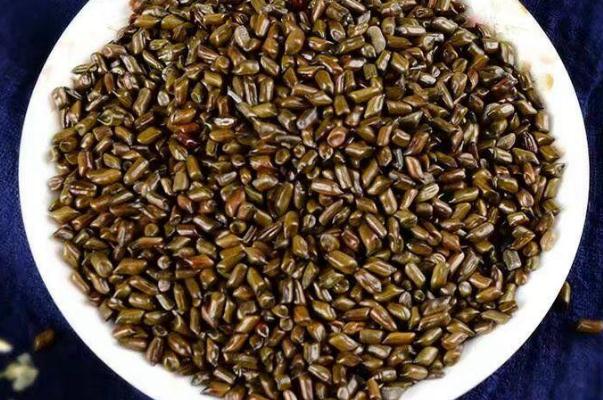 決明子怎樣喝減肥 決明子有減肥作用嗎 決明子怎樣喝減肥 決明子有減肥作用嗎