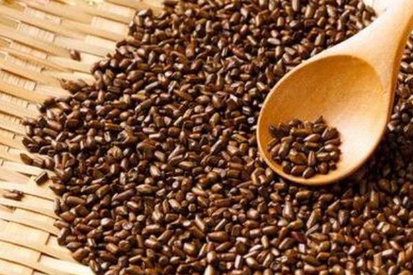 決明子怎樣喝減肥 決明子有減肥作用嗎 決明子怎樣喝減肥 決明子有減肥作用嗎