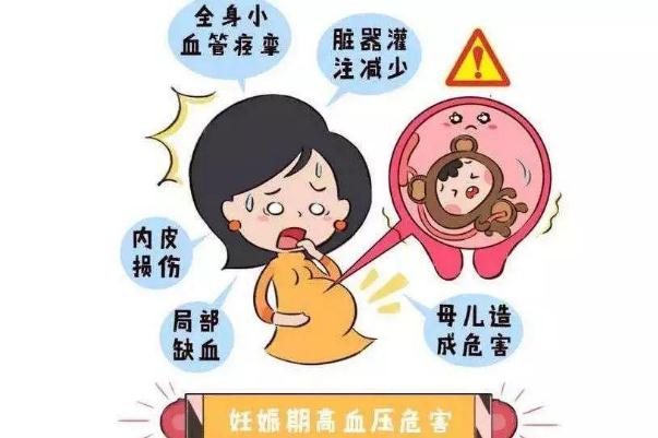 孕期高血壓怎么降下來 孕期高血壓是怎么引起的 孕期高血壓怎么降下來 孕期高血壓是怎么引起的