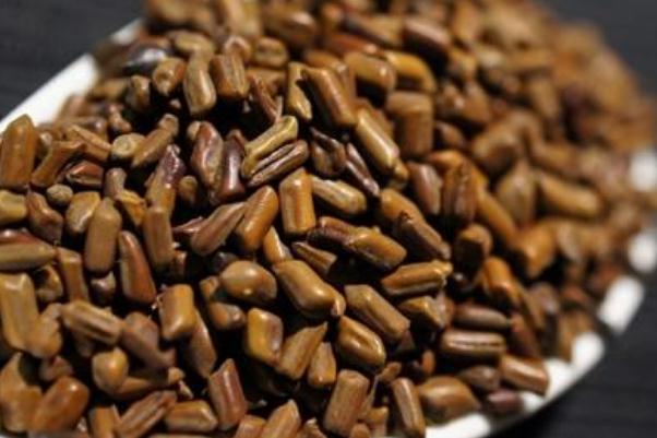 決明子的功效 決明子的副作用 決明子的功效 決明子的副作用