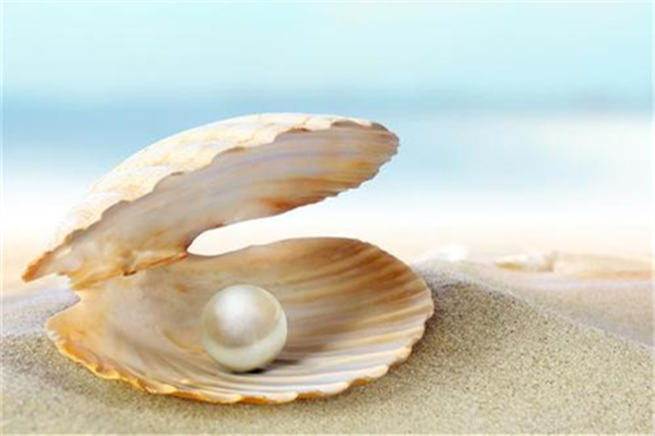 珍珠粉和什么做面膜好 珍珠粉做面膜的正確做法 珍珠粉和什么做面膜好 珍珠粉做面膜的正確做法