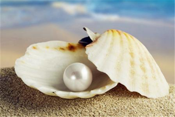 珍珠粉和什么做面膜好 珍珠粉做面膜的正確做法 珍珠粉和什么做面膜好 珍珠粉做面膜的正確做法