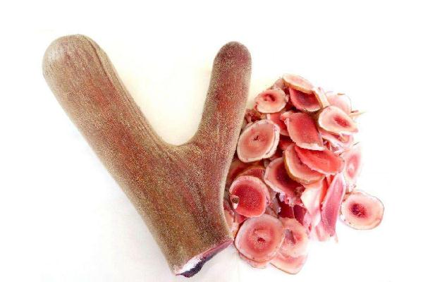 鹿茸的功效與作用吃法 鹿茸如何吃可以壯陽 鹿茸的功效與作用吃法 鹿茸如何吃可以壯陽