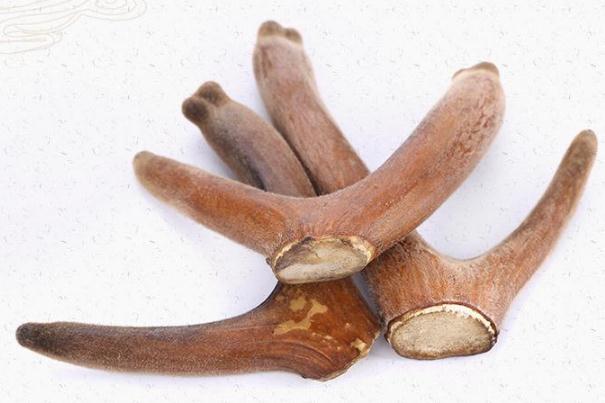 鹿茸片怎么吃效果最好 鹿茸片的正確吃法 鹿茸片怎么吃效果最好 鹿茸片的正確吃法