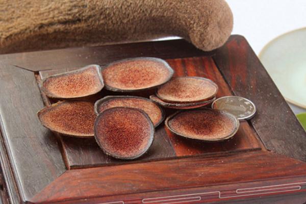 鹿茸對(duì)女人作用與功效 鹿茸對(duì)人體有什么作用 鹿茸對(duì)女人作用與功效 鹿茸對(duì)人體有什么作用