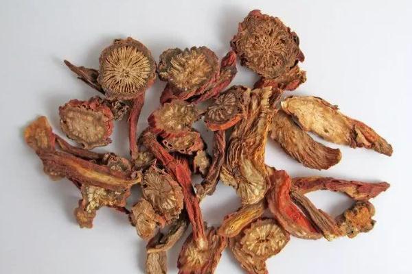 丹參可以泡水喝嗎 丹參泡水喝有什么功效 丹參可以泡水喝嗎 丹參泡水喝有什么功效