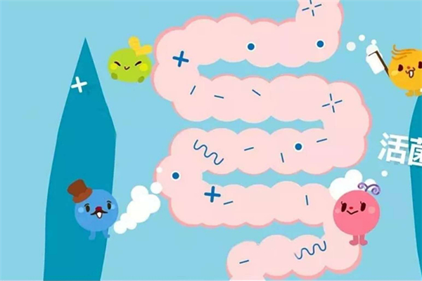 益生菌可以減肥嗎 益生菌有什么作用和功效 益生菌可以減肥嗎 益生菌有什么作用和功效