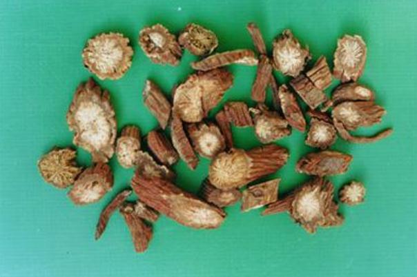 丹參可以泡腳嗎 丹參泡腳的功效與作用 丹參可以泡腳嗎 丹參泡腳的功效與作用