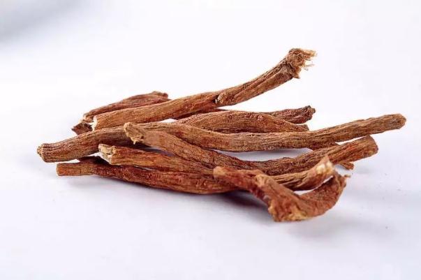 丹參可以泡酒嗎 丹參泡酒的功效與作用 丹參可以泡酒嗎 丹參泡酒的功效與作用