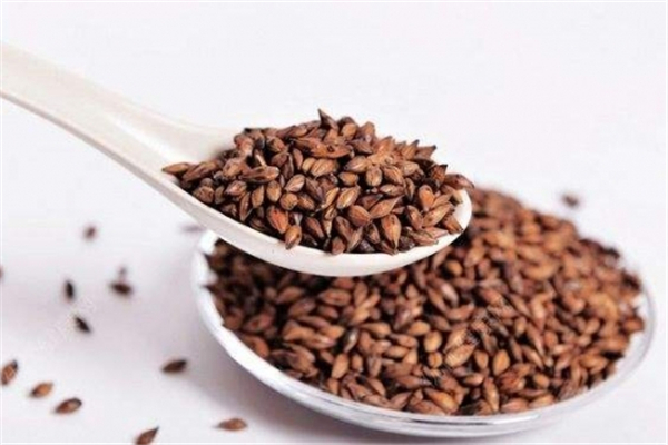 大麥茶回奶效果好嗎 大麥茶怎么煮水回奶 大麥茶回奶效果好嗎 大麥茶怎么煮水回奶