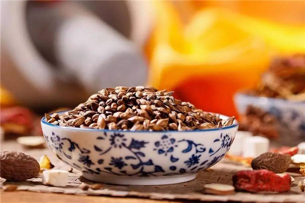 大麥茶要煮還是要泡 大麥茶怎么泡才好喝 大麥茶要煮還是要泡 大麥茶怎么泡才好喝