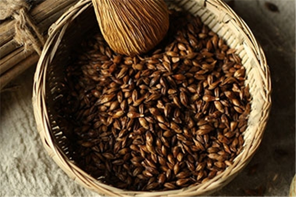 大麥茶可以天天喝嗎 大麥茶長(zhǎng)期喝會(huì)怎樣 大麥茶可以天天喝嗎 大麥茶長(zhǎng)期喝會(huì)怎樣