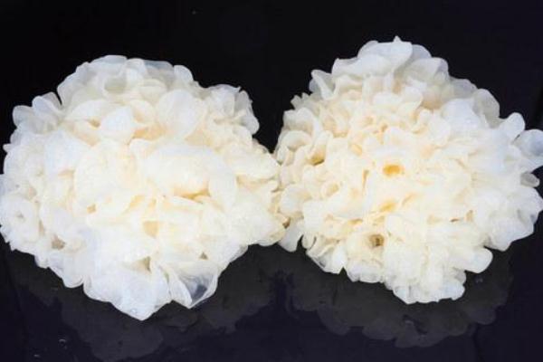 銀耳對孕婦的好處 懷孕吃銀耳的好處 銀耳對孕婦的好處 懷孕吃銀耳的好處