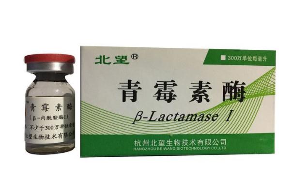 青霉素對(duì)鼻炎有效果嗎 青霉素對(duì)胃炎有效果嗎 青霉素對(duì)鼻炎有效果嗎 青霉素對(duì)胃炎有效果嗎