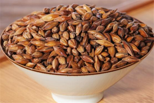 大麥茶回奶效果好嗎 大麥茶怎么煮水回奶 大麥茶回奶效果好嗎 大麥茶怎么煮水回奶