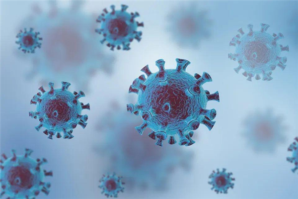 打新冠疫苗需要什么證明和手續(xù) 打新冠疫苗要預(yù)約嗎 打新冠疫苗需要什么證明和手續(xù) 打新冠疫苗要預(yù)約嗎