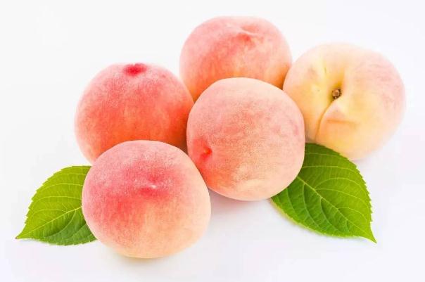 水蜜桃的功效與作用 水蜜桃有哪些營養(yǎng)價(jià)值 水蜜桃的功效與作用 水蜜桃有哪些營養(yǎng)價(jià)值