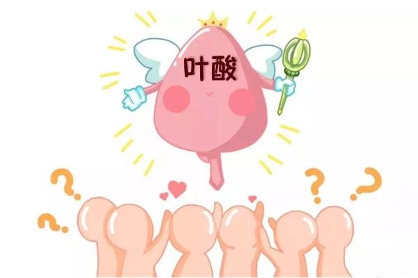 葉酸對身體有什么好處 葉酸對備孕有什么幫助 葉酸對身體有什么好處 葉酸對備孕有什么幫助