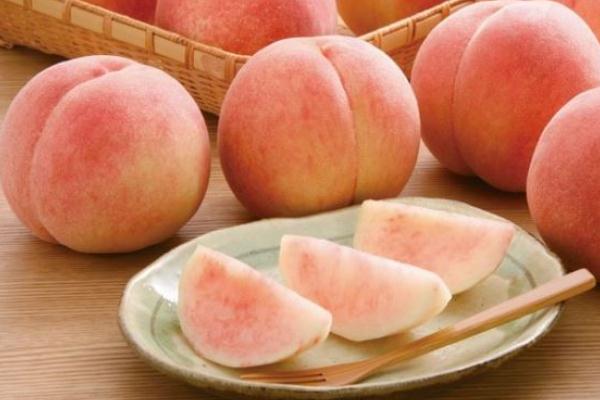 水蜜桃的功效與作用 水蜜桃有哪些營養(yǎng)價(jià)值 水蜜桃的功效與作用 水蜜桃有哪些營養(yǎng)價(jià)值