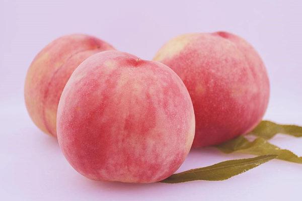 水蜜桃能和牛奶一起吃嗎 水蜜桃能和芒果一起吃嗎 水蜜桃能和牛奶一起吃嗎 水蜜桃能和芒果一起吃嗎